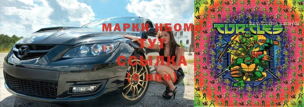 прущие крисы Бородино